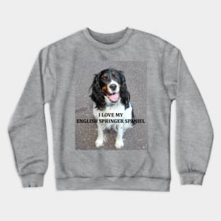 english springer spaniel black white tan love with picture Crewneck Sweatshirt